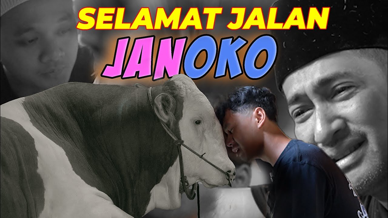 TERIMAKASIH JANOKO 😭