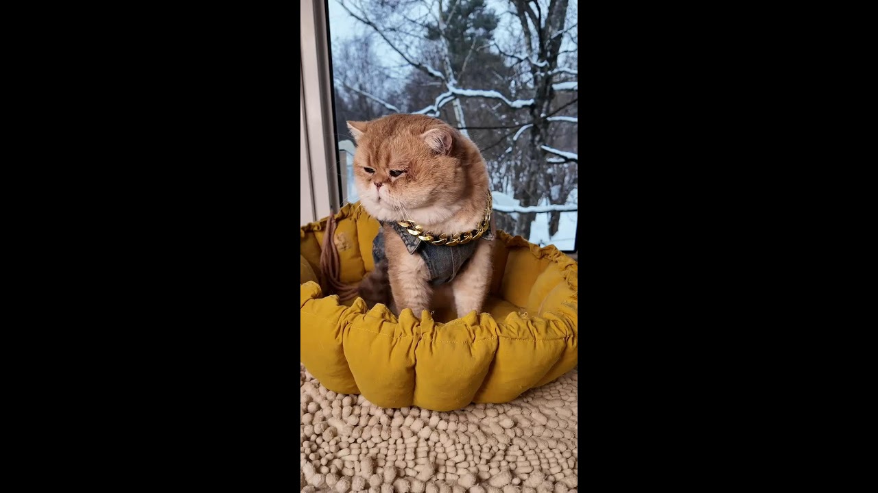 Доброе утро