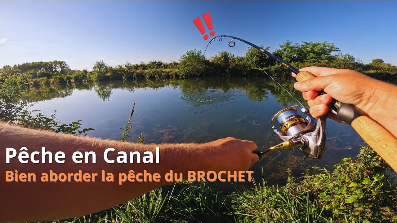 Bien aborder la Pêche du BROCHET en CANAL ! ( Pêche au leurre)