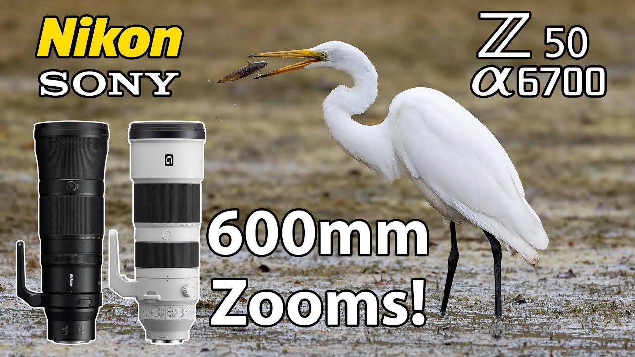 Фотосъемка птиц Nikon 180-600 Sony 200-600 Z50 a6700