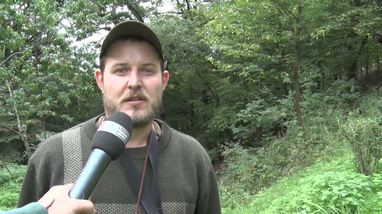 Ruja v Krupinských lesoch