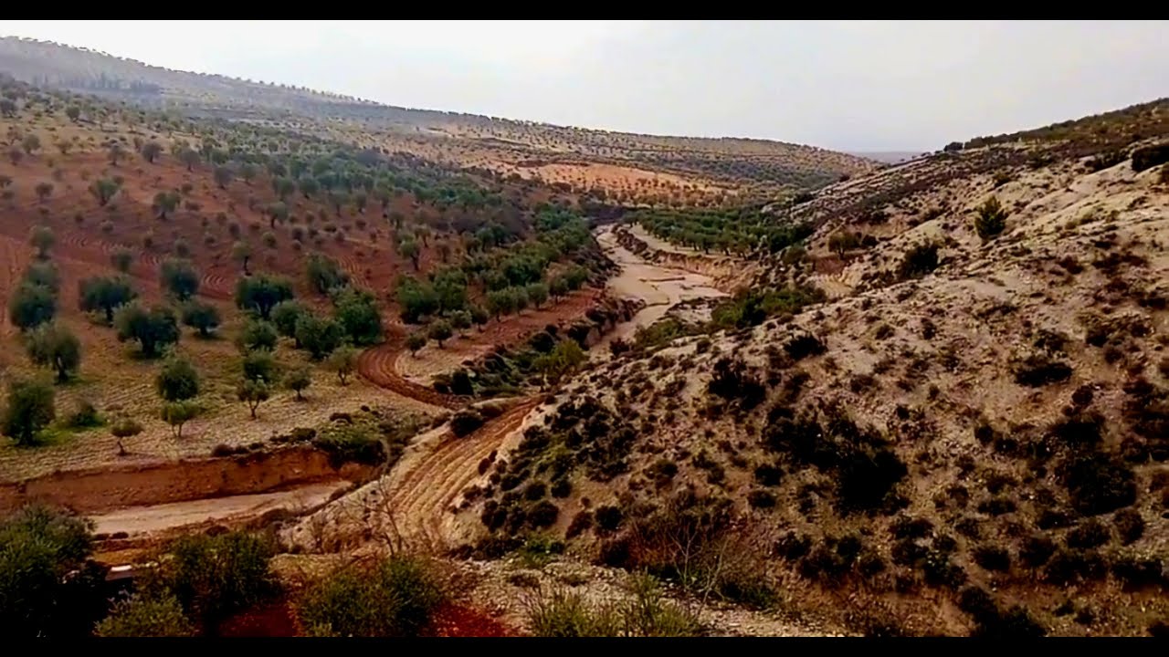من جبال عفرين الكوردية ارض الزيت و الزيتون