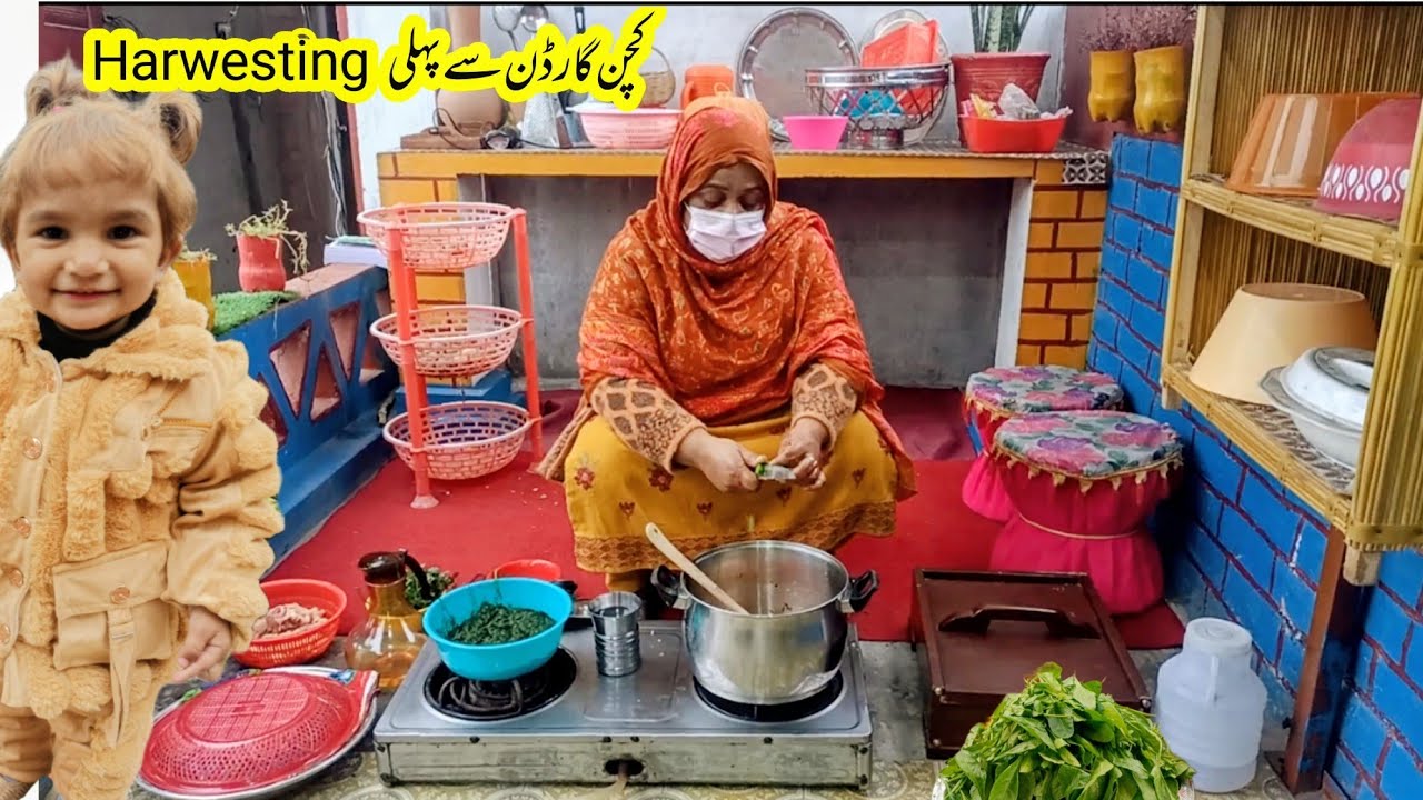 Is Saal ki first harwesting|Palak ki harwesting|Happy village couple
