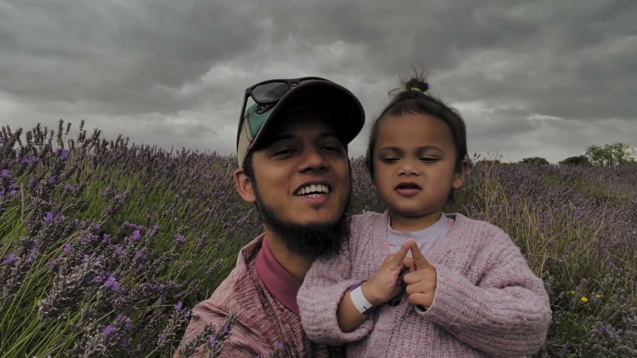 Hitchin Lavender Field tour 2025