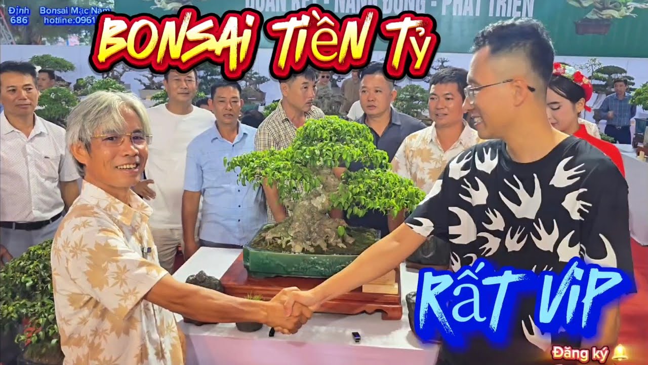 Nổ tác phẩm bonsai tiền tỷ trước giờ khai Mạc triển lãm Trành