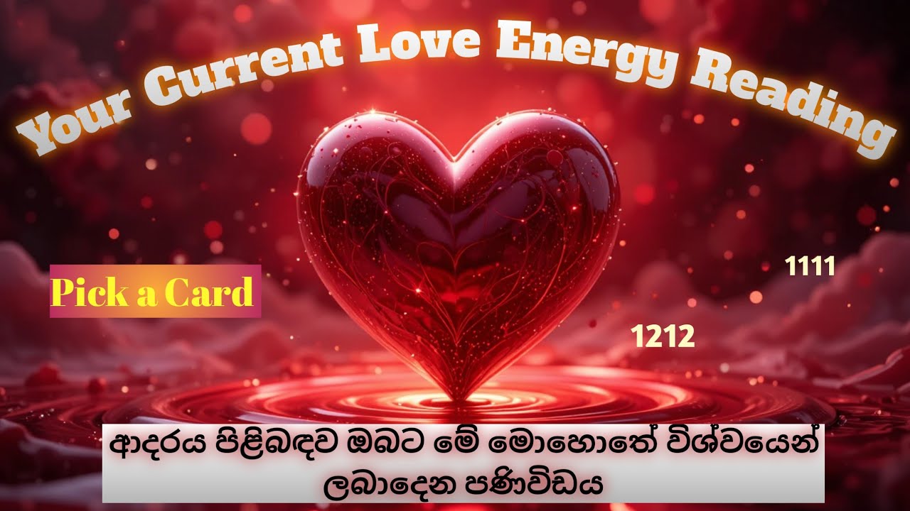 Your Current Love Energy ❤ ආදරය සම්බන්ධයෙන් මේ මොහොතේ විශ්වයට ඔබට පවසන්න ඇති දේ ❤