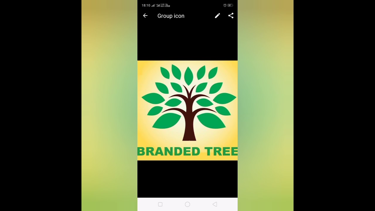 Branded Tree Products Outlet Ashok Grover 9466307211