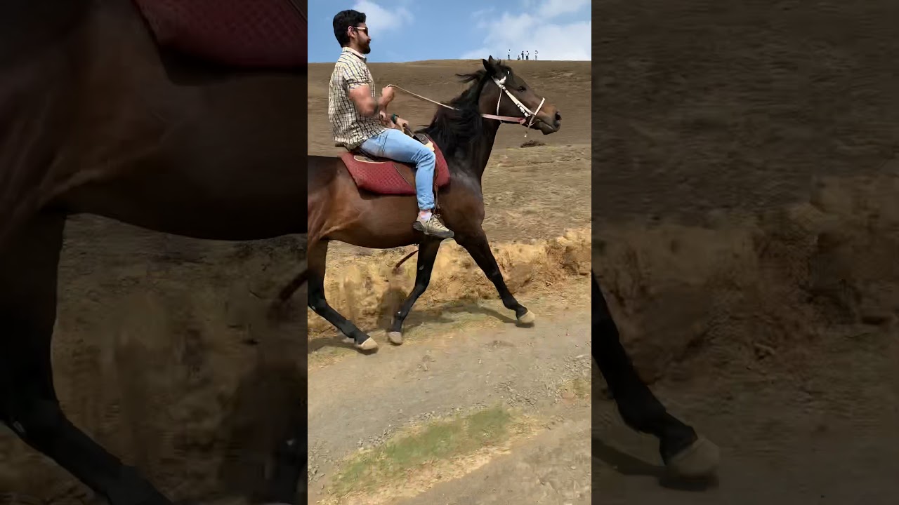Ooty#horse riding 🐴