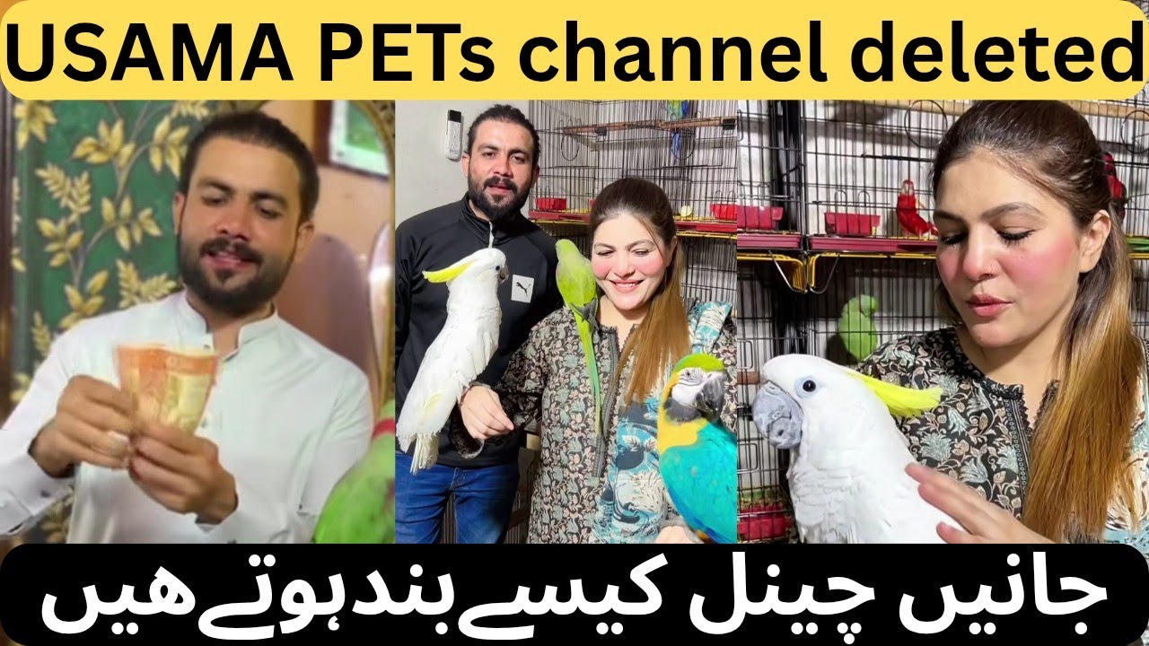 Channel deleted USAMA PETs