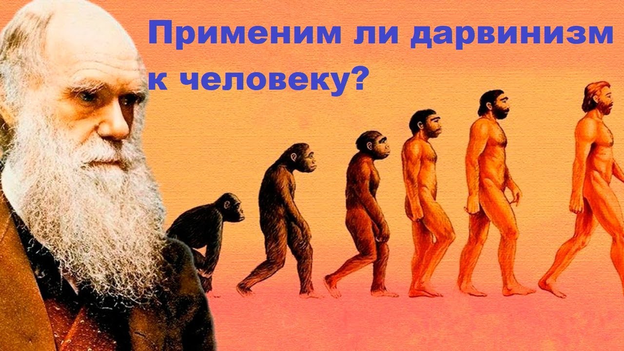 Применим ли дарвинизм к человеку?