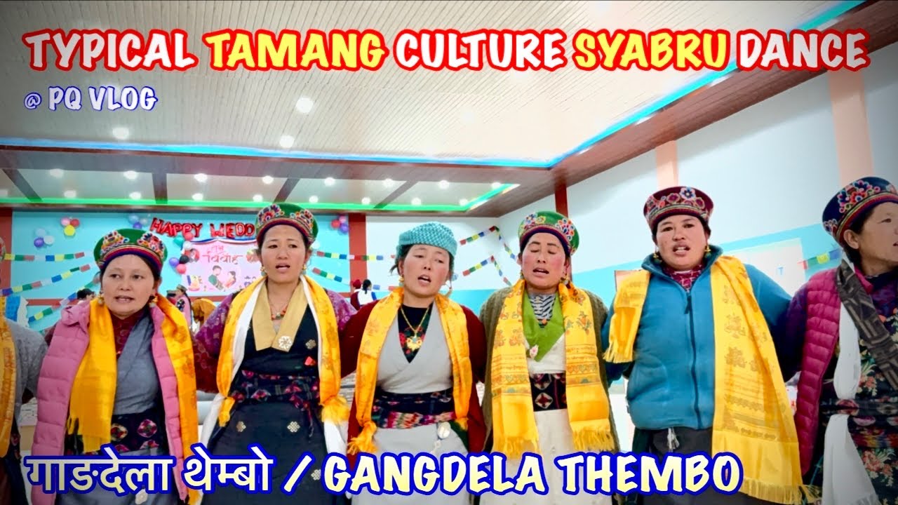 Gangdela Thembo Syabru Dance || Rasuwa Tamang Song And Dance || PQ VLOG ||