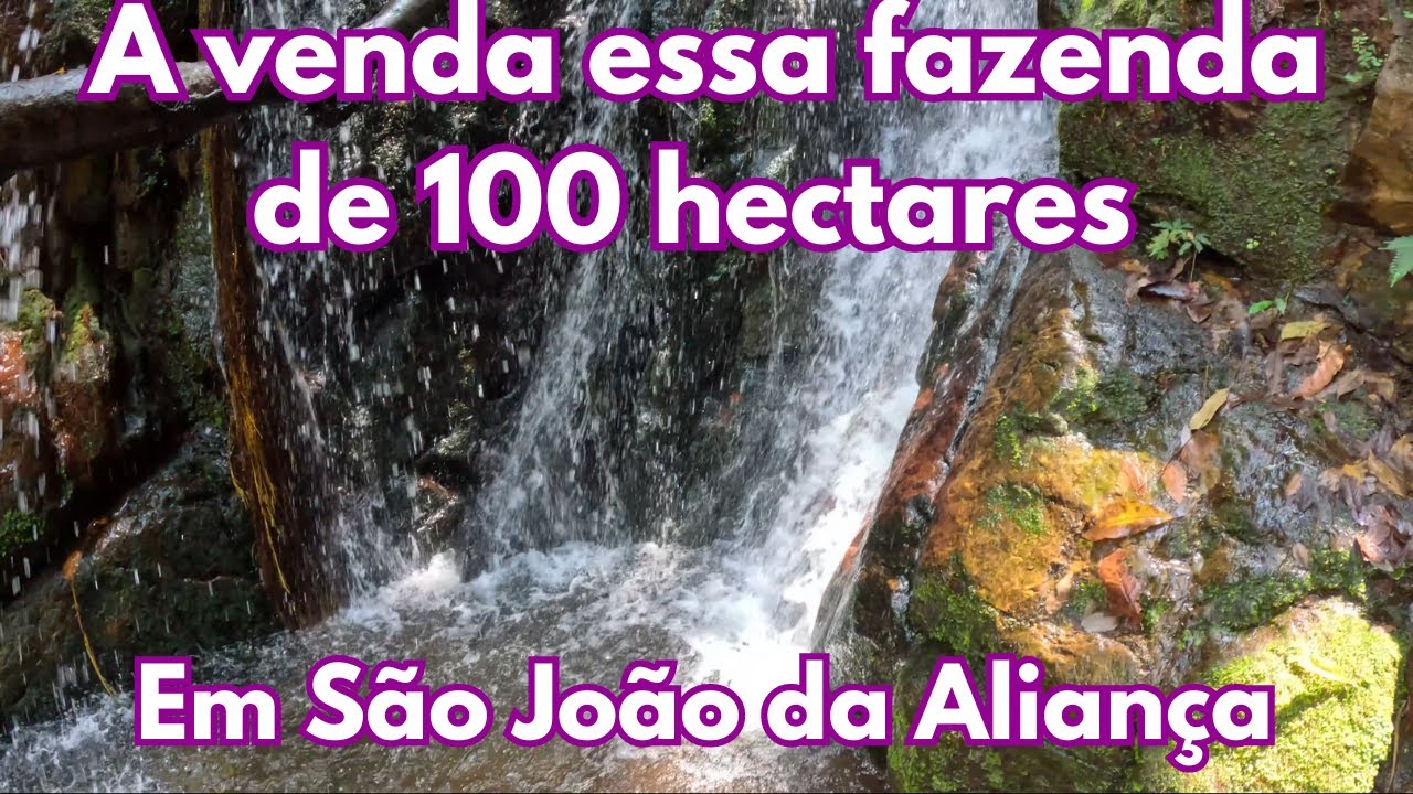 A venda essa fazenda de 100 hectares -  Em São João da Aliança