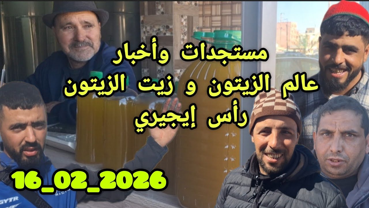مستجدات وأخبار عالم الزيت و زيت الزيتون من رأس إيجيري نواحي الحاجب بتاريخ 16/02/2026