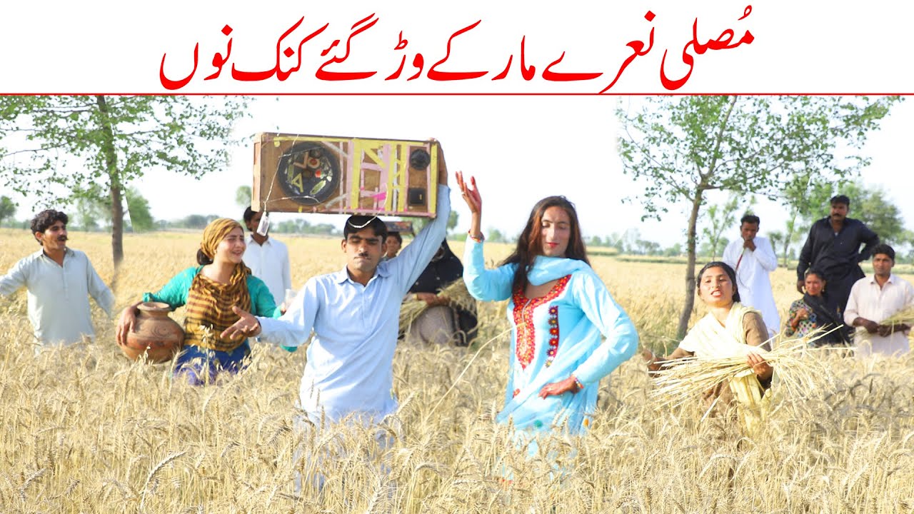Gndam Ki Ktai//Bhotna, qaisar Dora ch koki billo & Sanam Mahi New Funny Video By Rachnavi Tv2