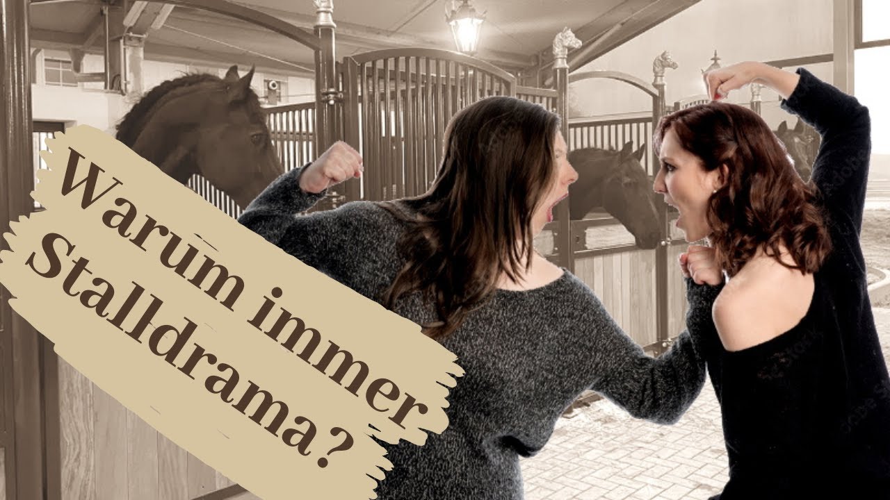 Warum so viel Drama im Stall?? Zicken unter Pferdeleuten #Stallsorgen | Serenity Horses