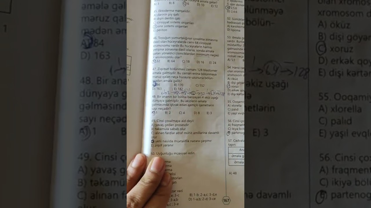 TAİM. Ontogenez test həlli. N 44-72 MİQ və sertifikasiya hazırlığı. Əlaqə: 055-634-73-41