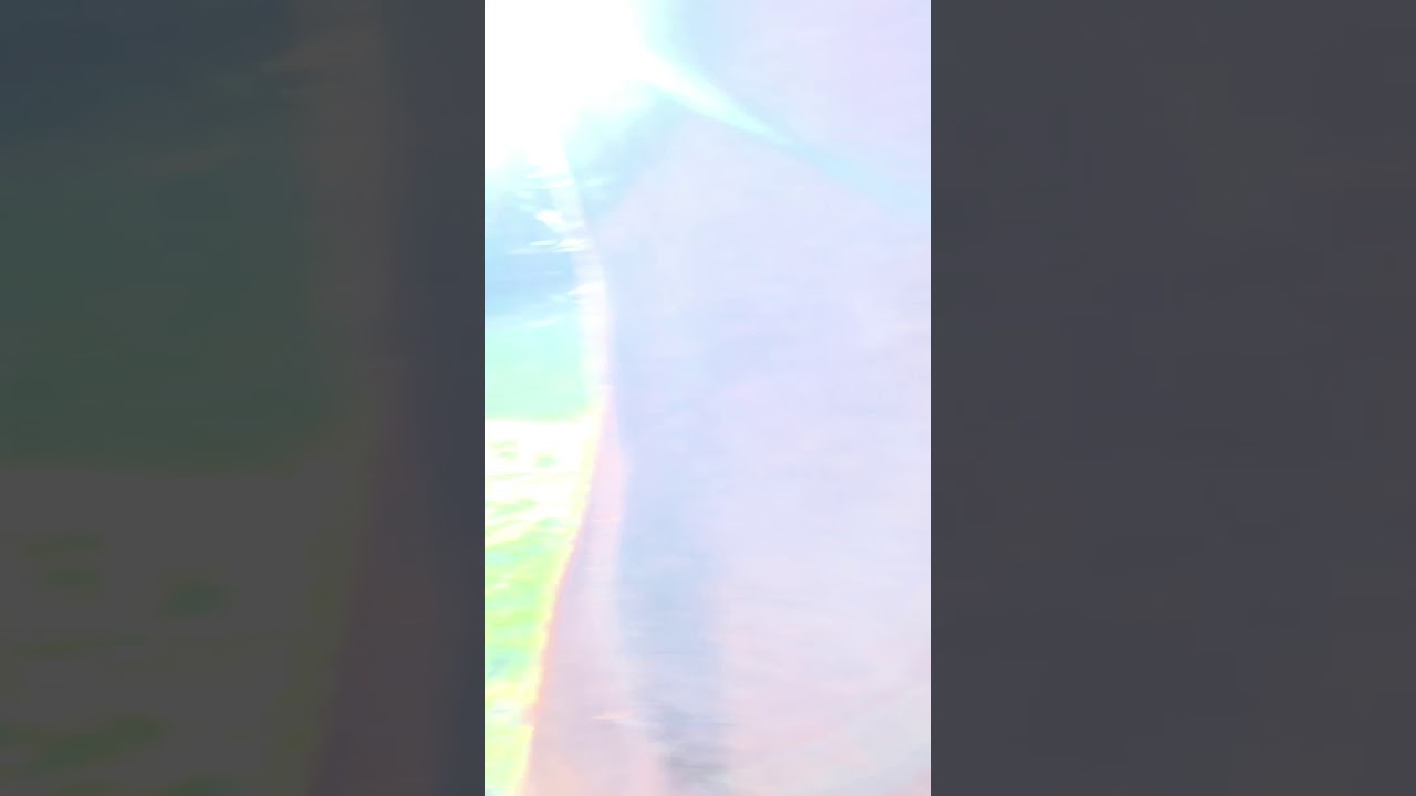 When your horse won&rsquo;t stay in his paddock