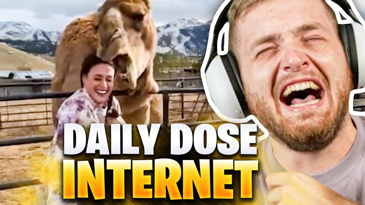 😂😍LEGENDÄRE CLIPS wieder bei DAILY dose of INTERNET!  | Trymacs Stream Highlights