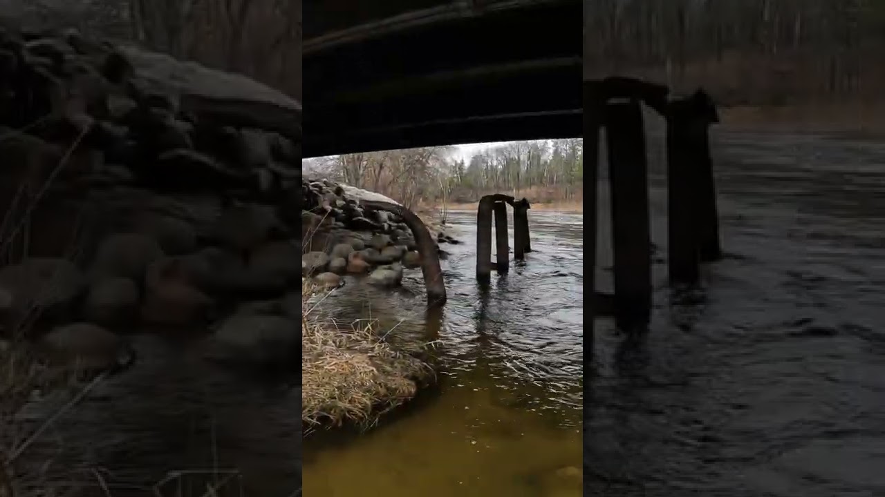 Any fish at Otter Tail Power Dam?