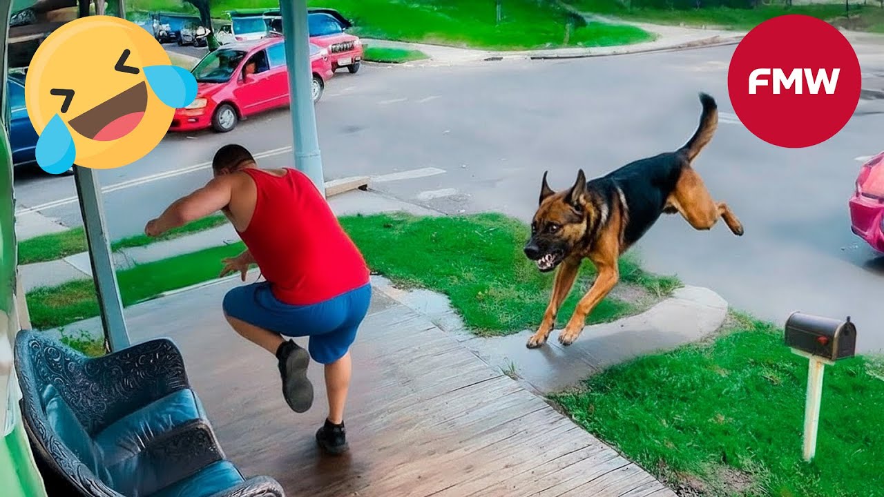 СМЕШНЫЕ МОМЕНТЫ 2025 😂 | Try Not To Laugh | Epic Fails Compilation #579