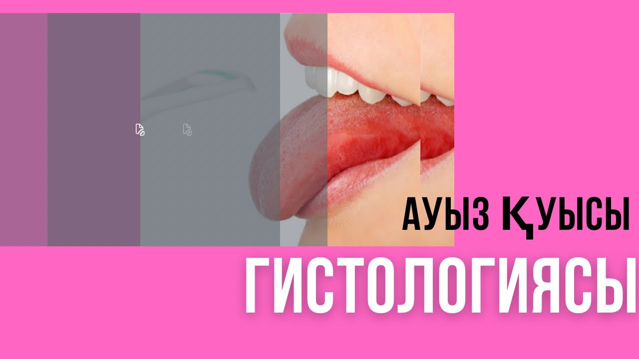 Ауыз қуысының #гистологиясы