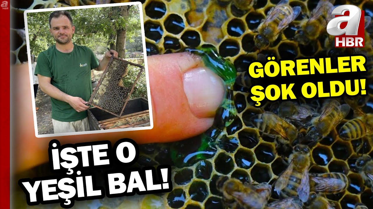 Kovanından Çıkan Bal Şoke Etti! İşte O Bal...   | A Haber