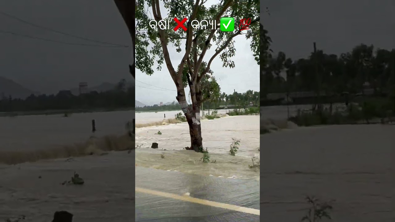 🚨 Balasore Flood Dangerous Situation 😱 | Odisha Flood Breaking News 2026 | Nilagiri & Balasore