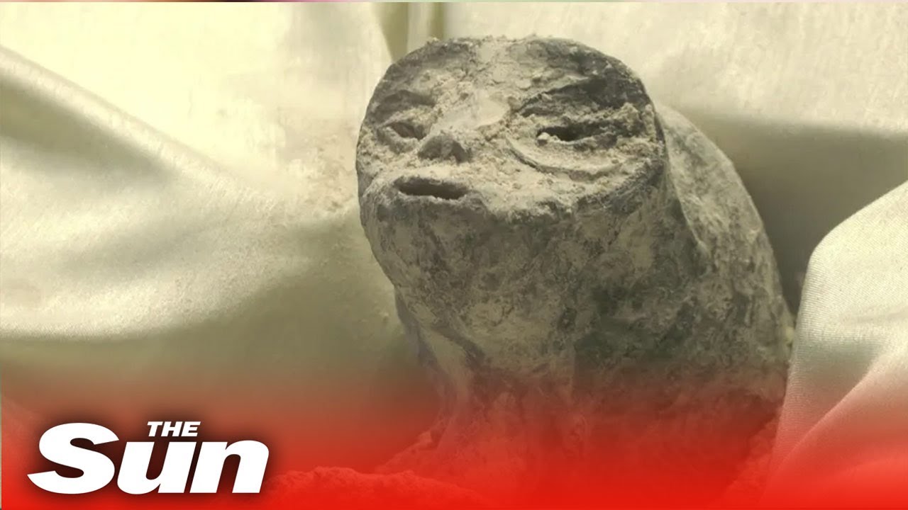 Two &lsquo;alien corpses&rsquo; from 1,000 years ago shown at UFO hearing