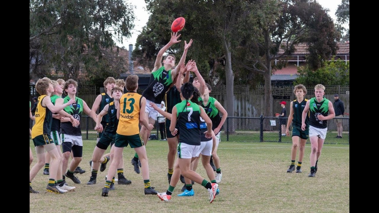 Cheltenham Panthers Under 15s Grand final 2024