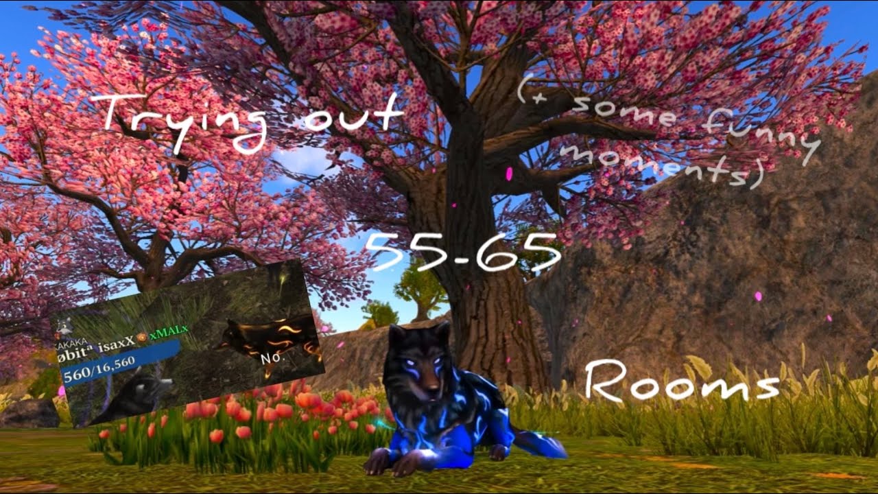 Trying out 55-65 rooms in PvP | The Wolf Online Simulator 