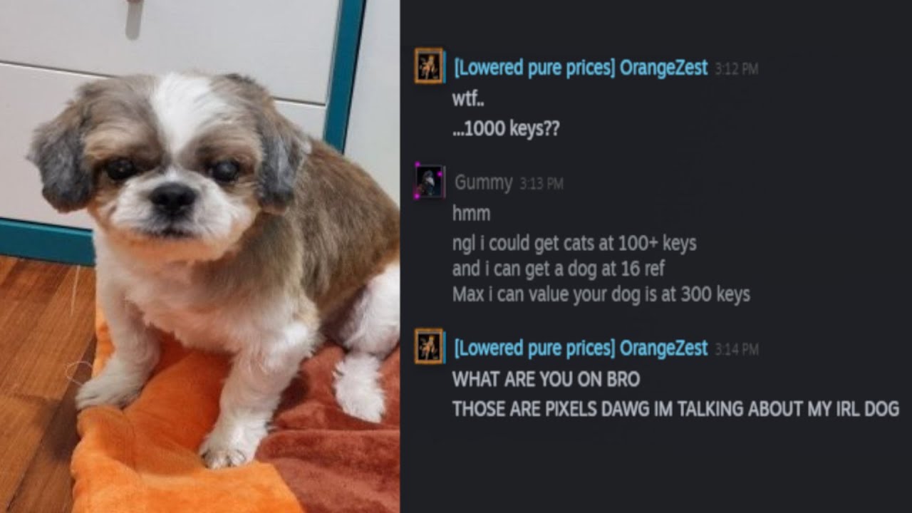 Most Unhinged Steam Trade