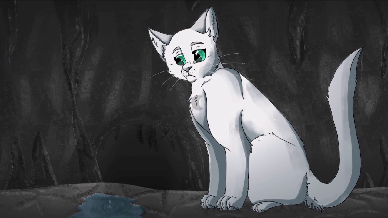 Everything stays Warriors PMV MAP Part 14
