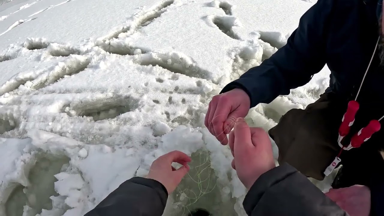 Pimpelfiske i Djupasj&ouml;n - Otrolig tur!