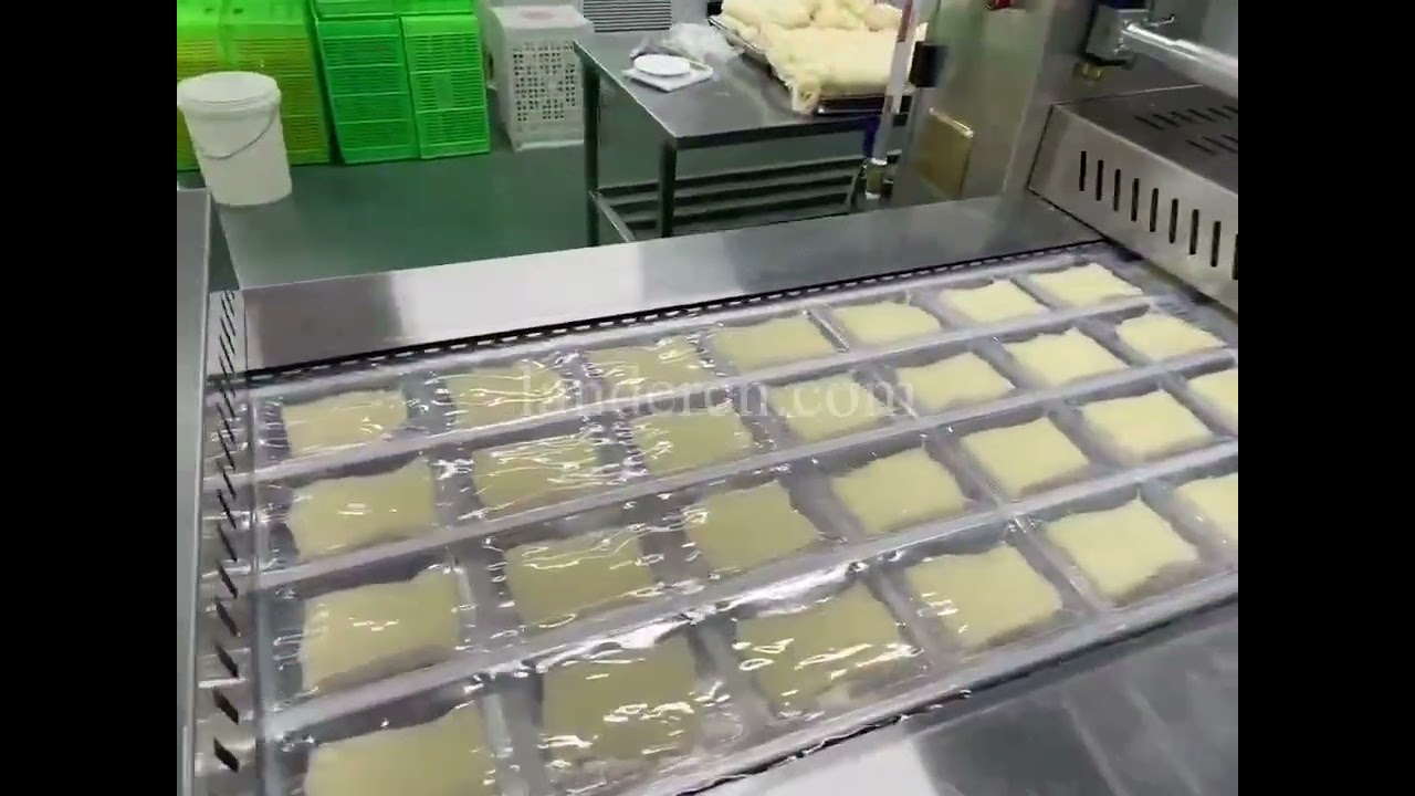 Thermoforming vacuum packaging machine thermoformer rollstock pack machine