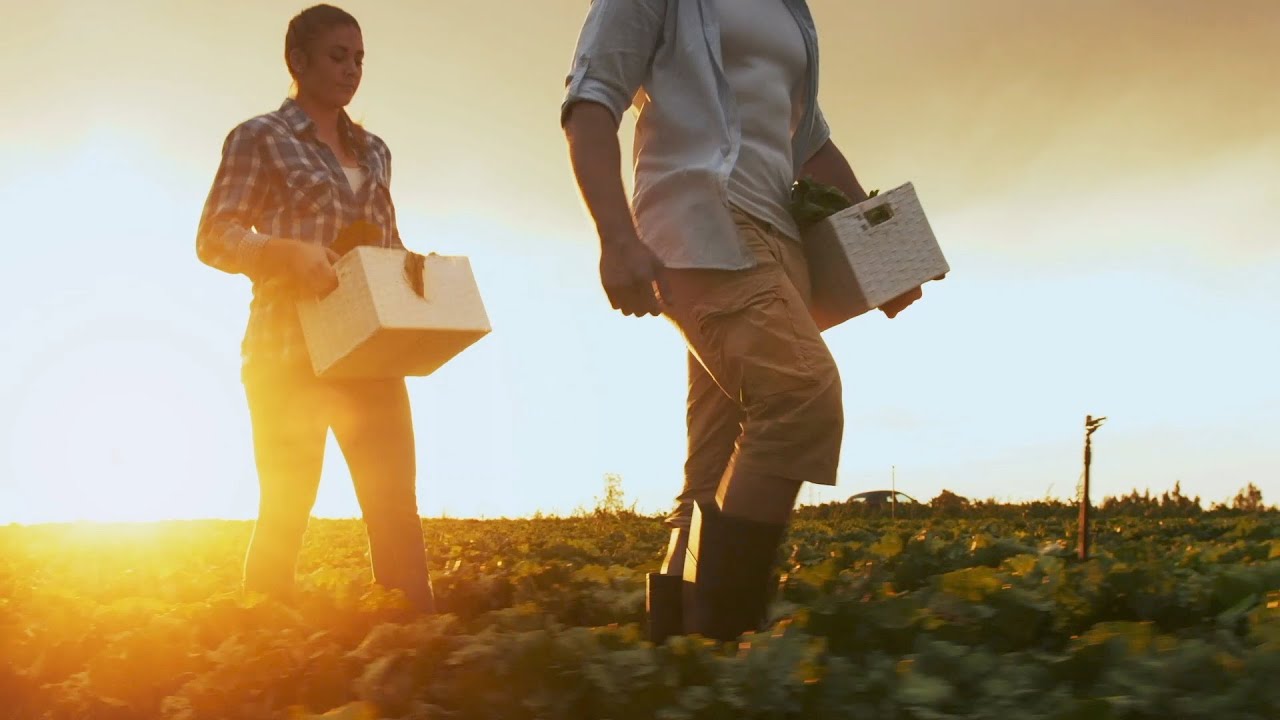 Greenhouses for Local and Sustainable Food Production