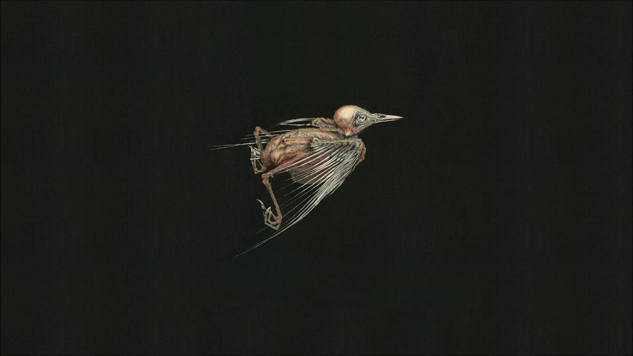 Jenny Hval & Susanna - Meshes of Voice [Full Album]