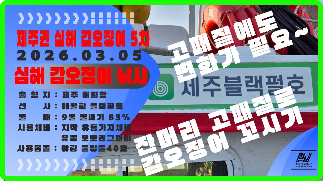 예민한 갑오징어 고패질에 변화를 줬더니~ #갑오징어낚시 #유동가지채비 #블랙펄호