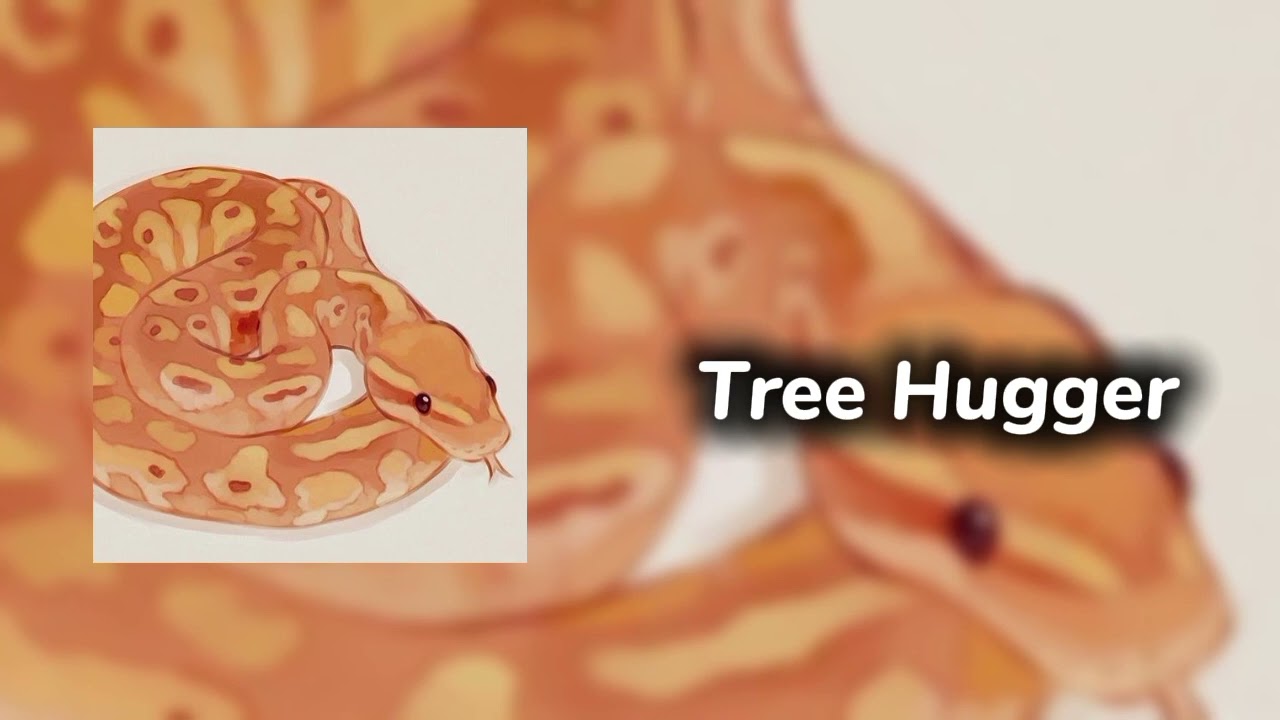 SPEDupSongz|Kimya Dawson-Tree Hugger (SPED UP)