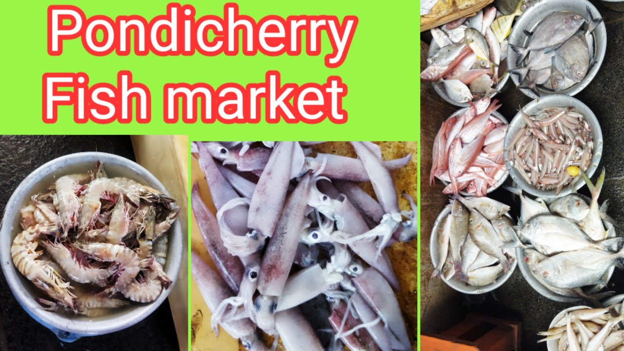 Pondicherry fish market