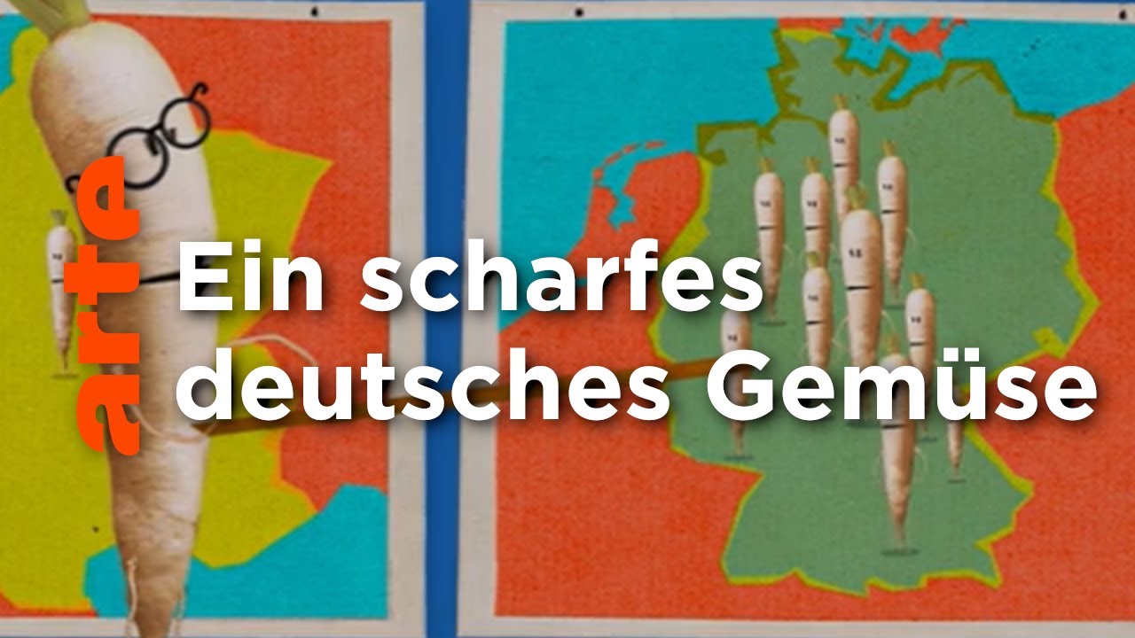 Der Rettich | Karambolage | ARTE