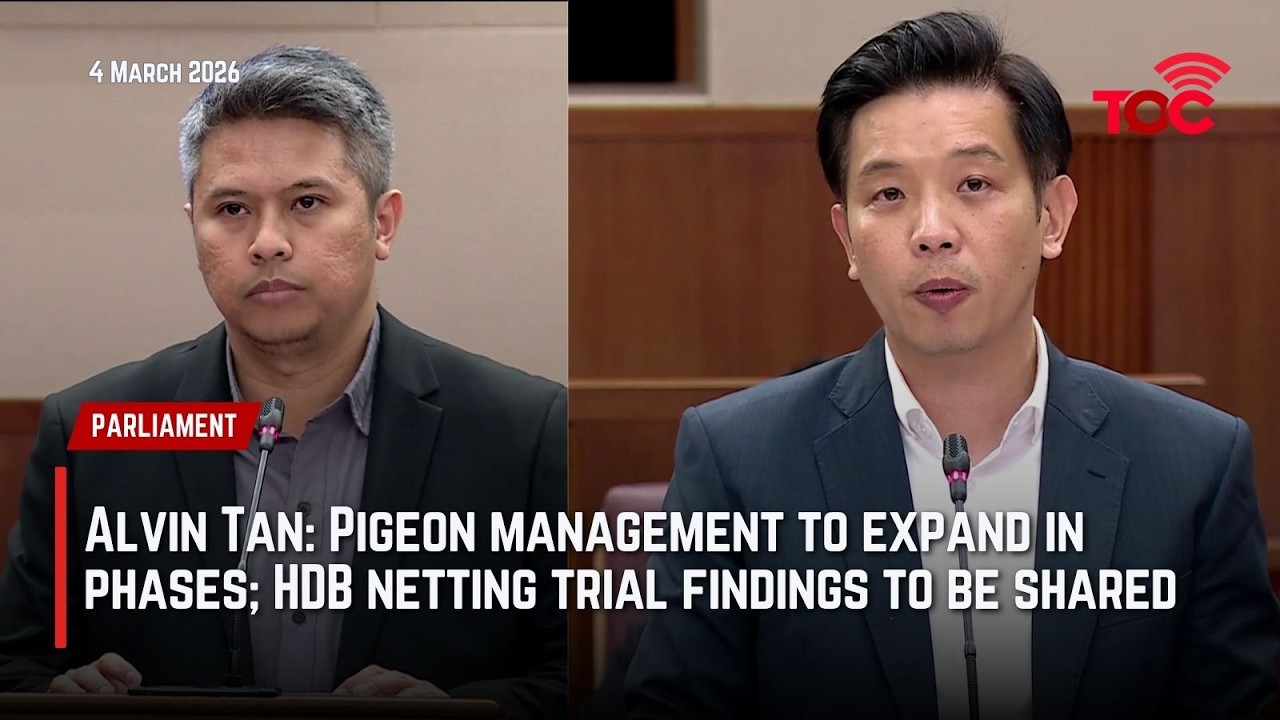 Alvin Tan: Pigeon management to expand in phases; HDB netting trial findings to be shared