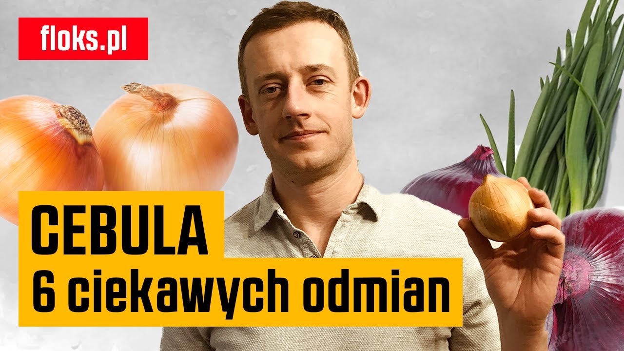 Cebula cukrowa, żółta, czerwona czy szalotka? Z nasion i dymki  | Floks.pl