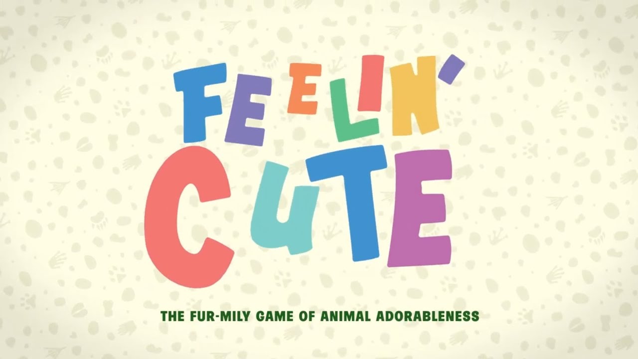 FEELIN' CUTE- Hootenanny Games - How to Play