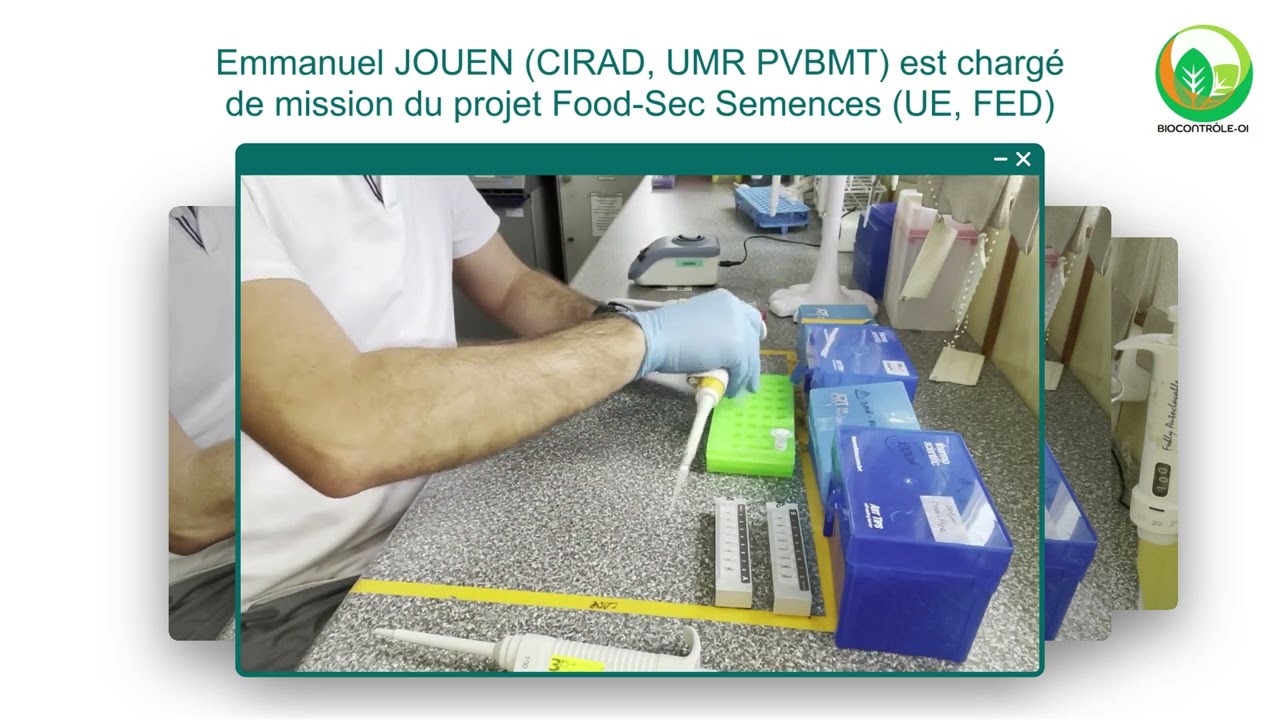 La Lamp, une methode simple et rapide pour détecter l'ADN et l'ARN