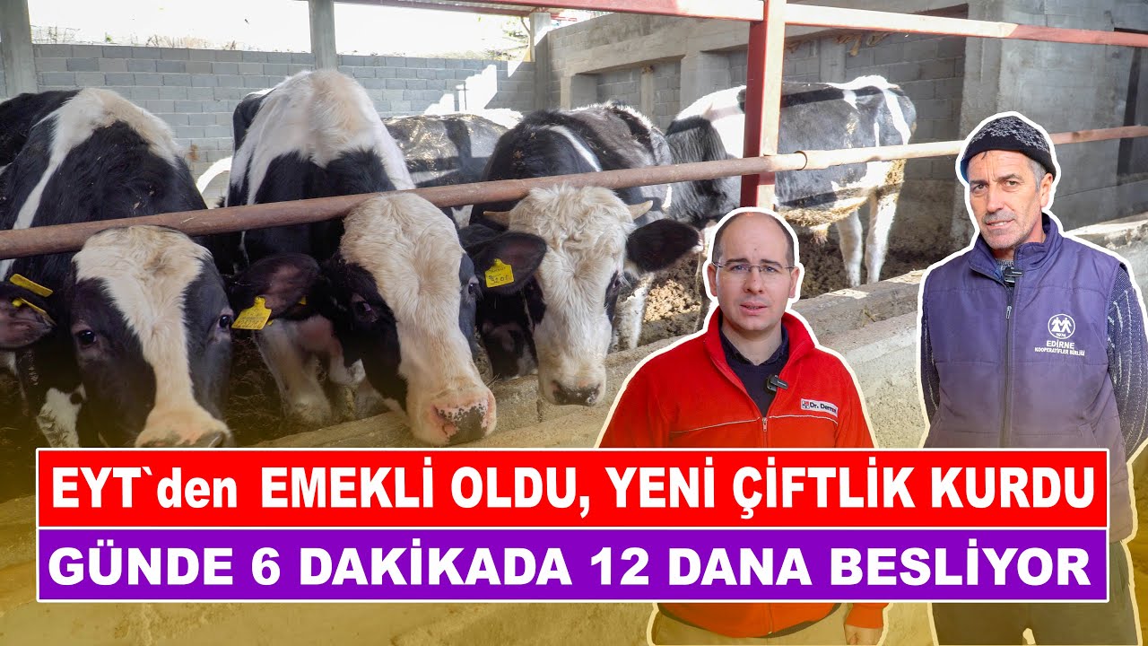 EYT'den Emekli Oldu, Yeni Çiftlik Kurdu | Günde  6 Dakikada 12 Dana Besliyor