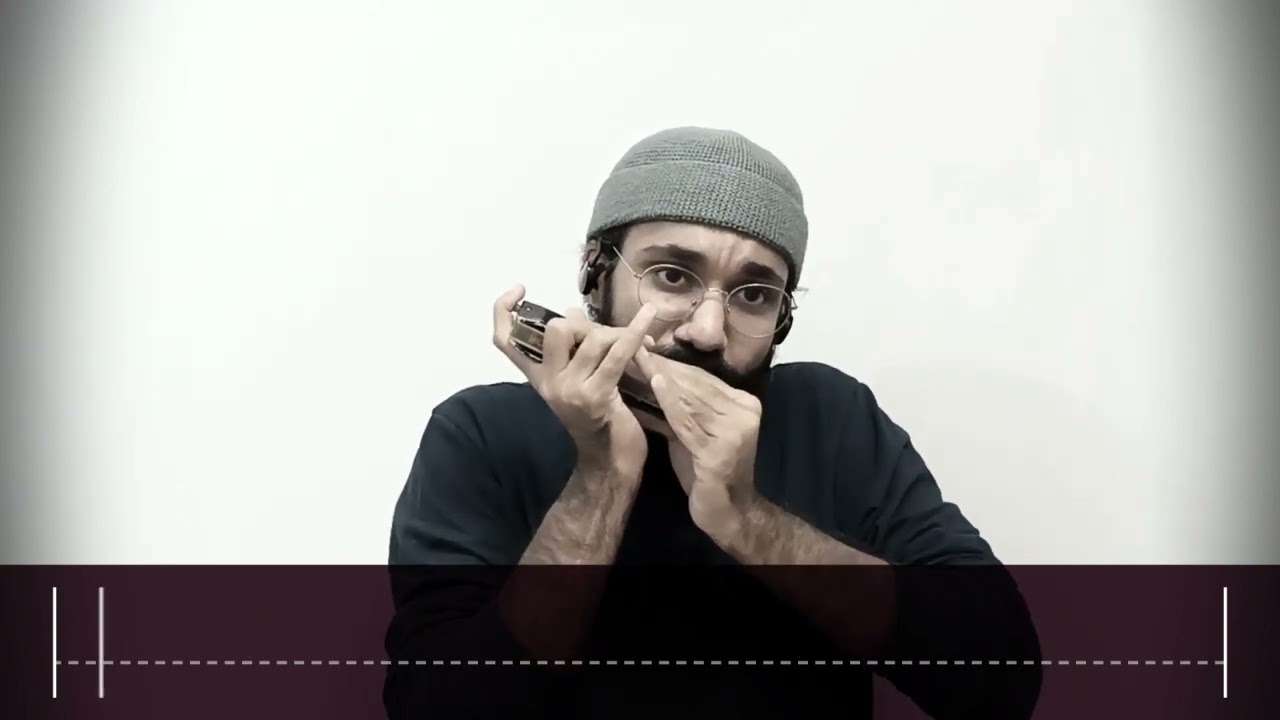 Strange Fruit - Nina Simone - Harmonica cover by Saeed Ghasemi