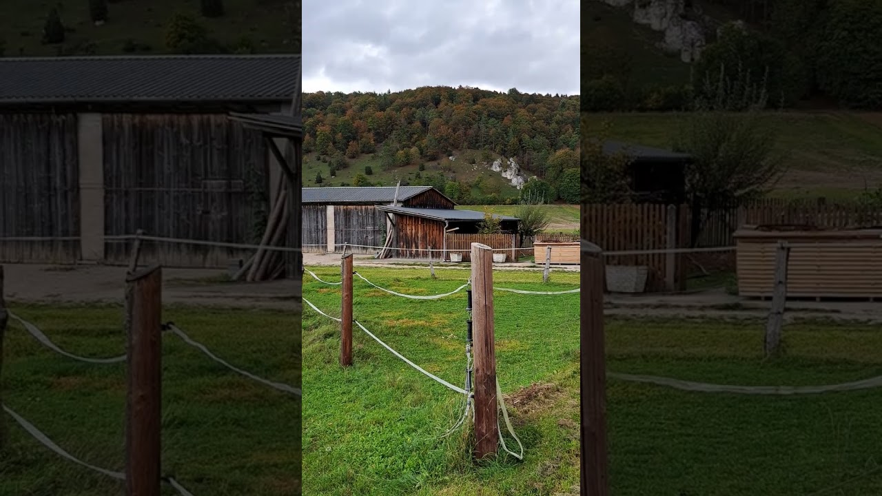 Altm&uuml;hltal-Panoramaweg Dollnstein - Eichst&auml;tt (4) (Oktober 2023)