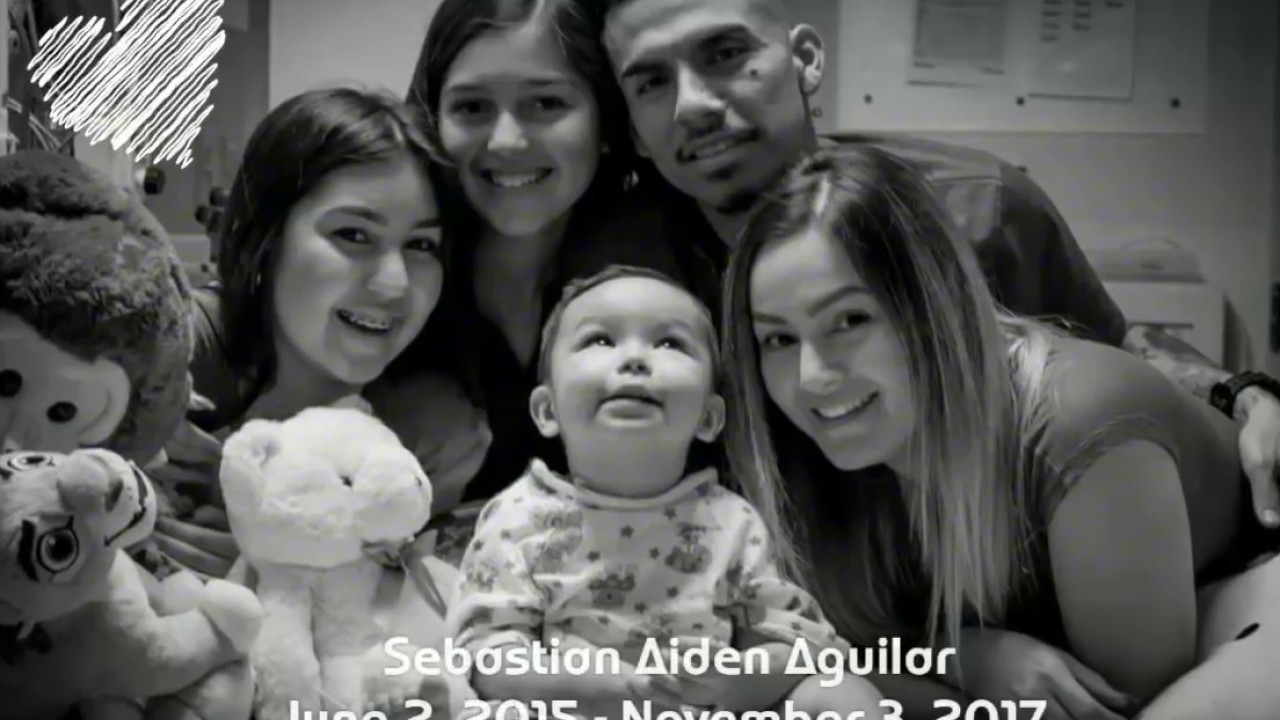 R.I.P. Sebastian