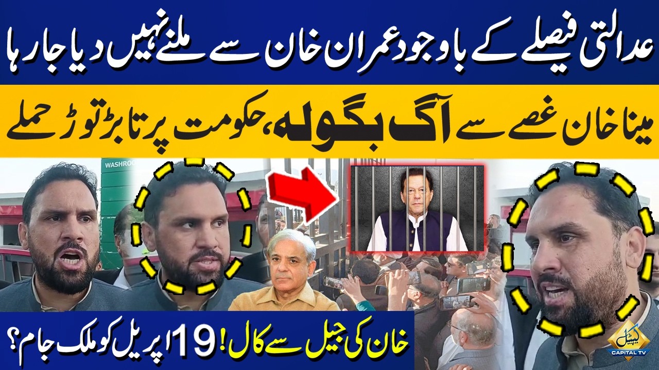 Meena Khan Lashes Out At Shahbaz Government! | PTI Protest On Imran Khan Call From Jail | Capital TV