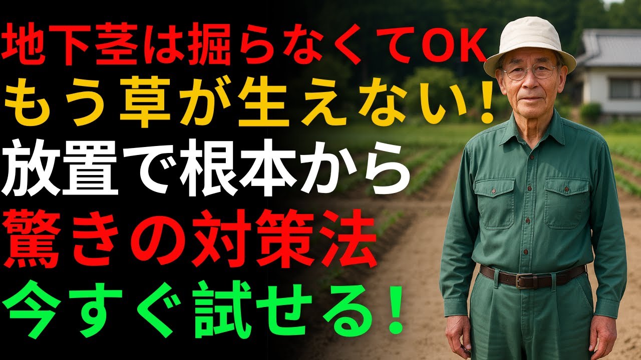 地下茎を掘り取らなくても草が生えない！驚きの根本的な地下茎対策法 | 除草剤 | グリーン農 | 芝生 | 雑草対策